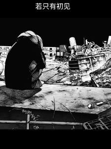 若只有初见 若只有初见